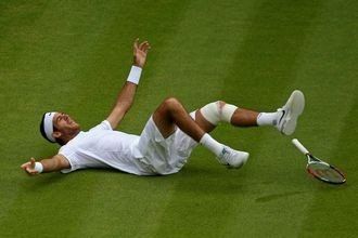 Del Potro pudo con dos rivales: su rodilla y David Ferrer Juan Martín Del Potro