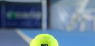 Artengo debuta en el circuito ATP pelota tenis artengo