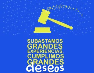 Subasta Fundación Pequeño Deseo